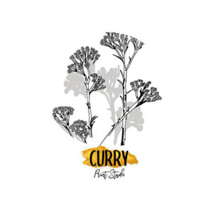 Curry Print Studio