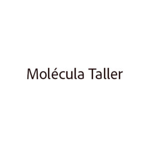 Molécula Taller